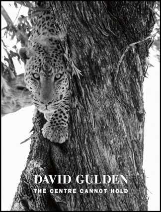 David Gulden's magnificent ode to the Africa he loves. His book The Centre Cannot Hold.