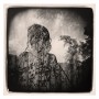 Tara Ratliff. Coalesce. Holga.