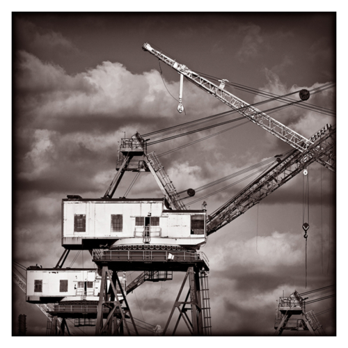 Cranes. Brooklyn Navy Yard. November 2011.